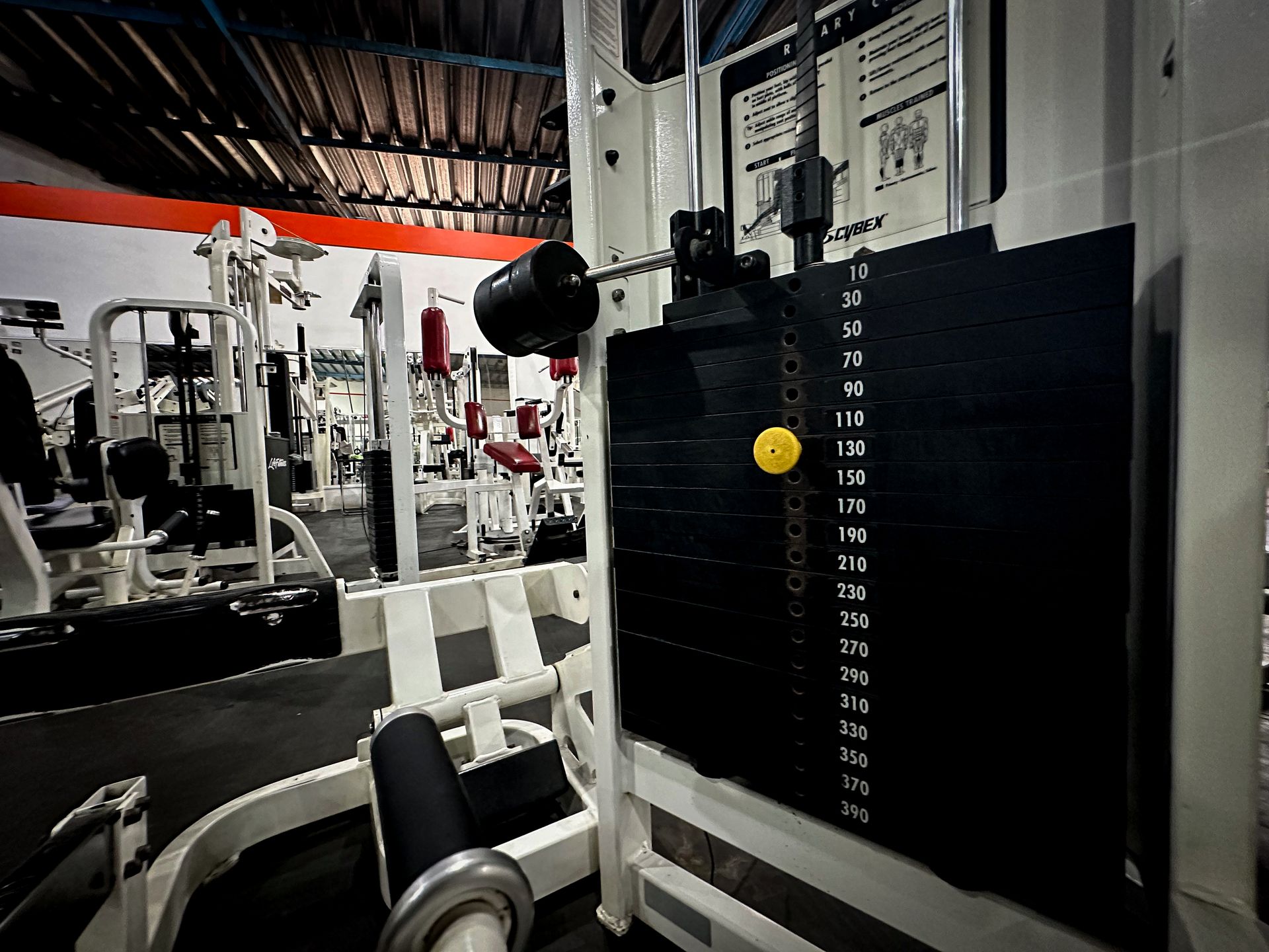 abc gimnasio