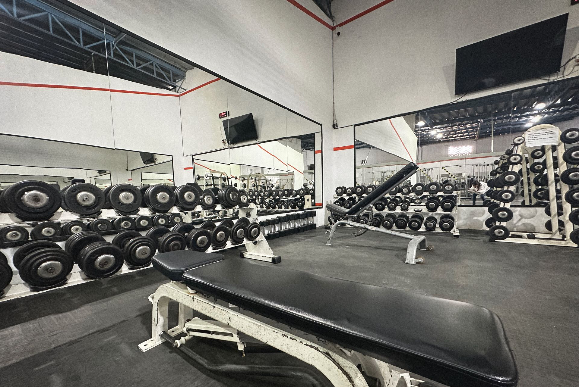 el mejor gimnasio de Ciudad Guzmán